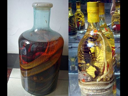 Snake wine Snake wine