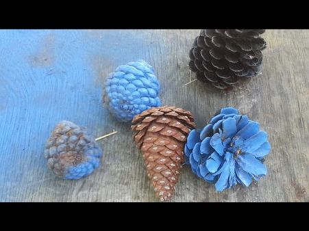Pinecones