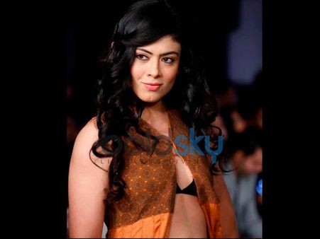 The Hyderabad International Fashion Week 2013