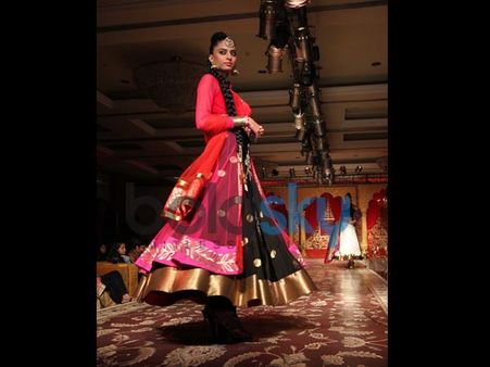 Showcasing The Collection