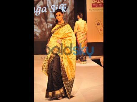 The Saree Show The Saree Show
