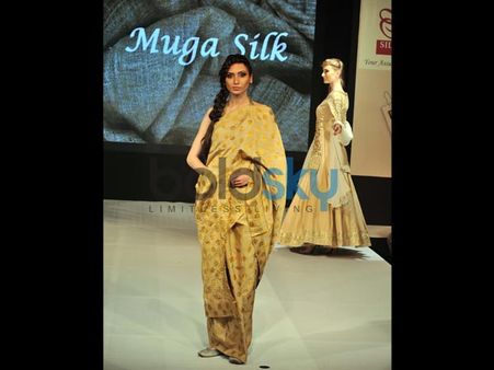 The Golden Saree The Golden Saree