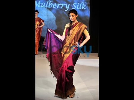 The Wine Saree The Wine Saree