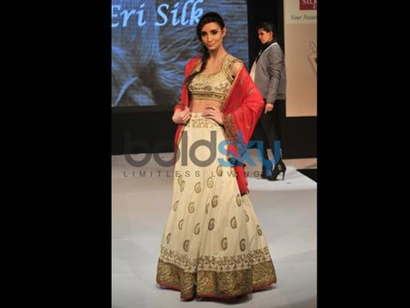 The Lehenga Show The Lehenga Show
