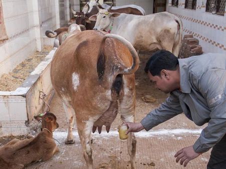 Urine Facial Urine Facial