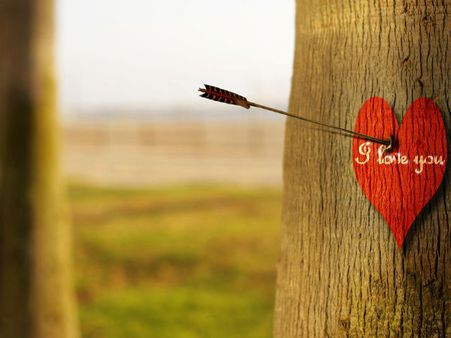 The Arrow heart The Arrow heart