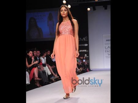 Coral Beauty Coral Beauty