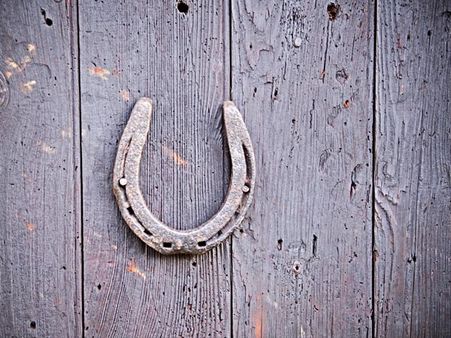 Horse Shoe