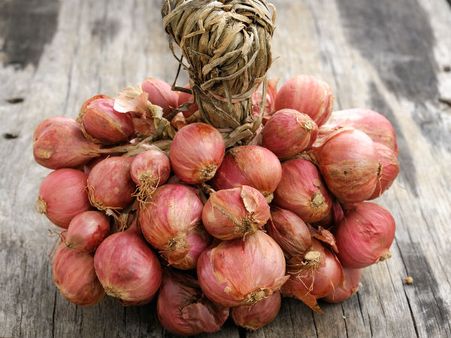 Shallots