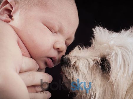 Never Leave The Two Alon