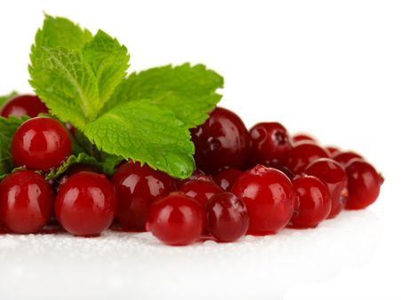 Cranberry