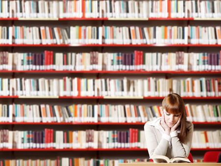 The Bookworm The Bookworm