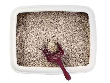 Kitty Litter