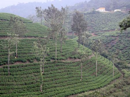 You love going to hill stations You love going to hill stations