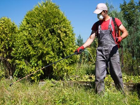 Pesticides Attack Neurons