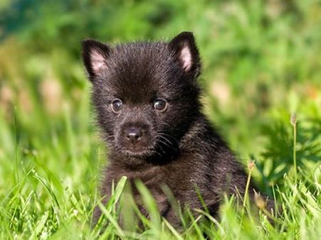 2. The First Few Days Were Strange