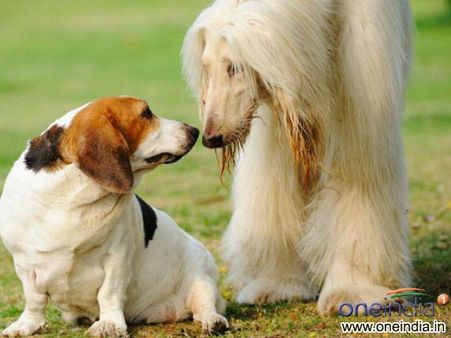 12. I Love Making Friends