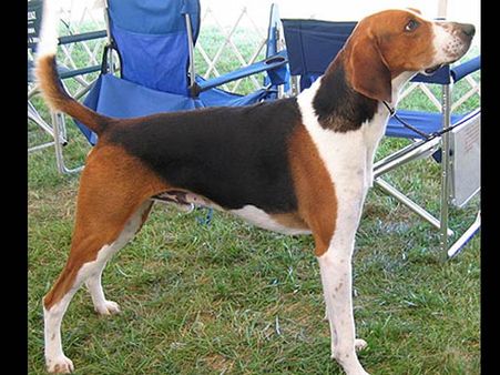 6. Please Give Me A Treat Once In A While