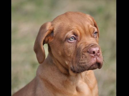 7. I Really look Forward To Meeting You In The Evening