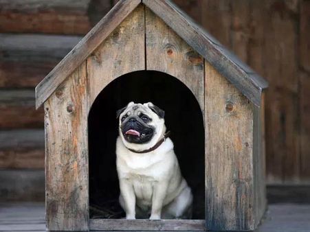 3. I May Act Weird At Times