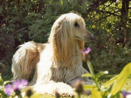 5. Please Don't Give Up On Me