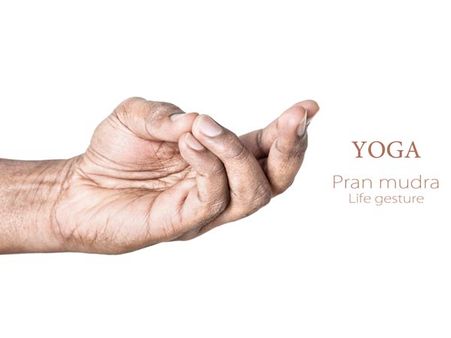 Pran Mudra