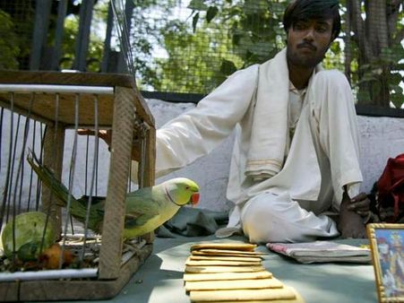 Palm Readers Or Astrologers 