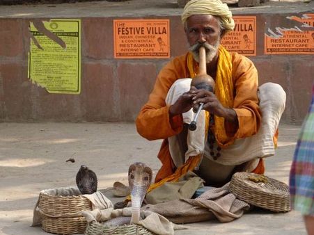 Snake Charmers