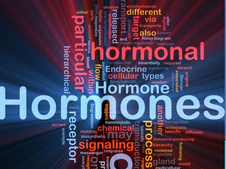 Balanced Hormonal Level