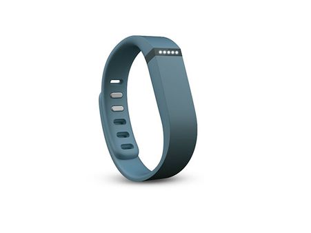 Fitbit Flex Wristband Fitbit Flex Wristband