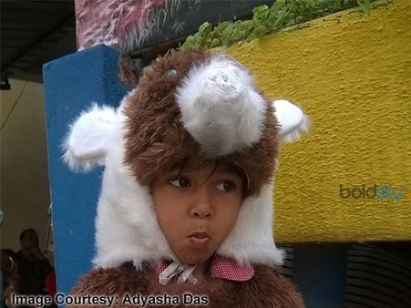 Your Little Furry Friend