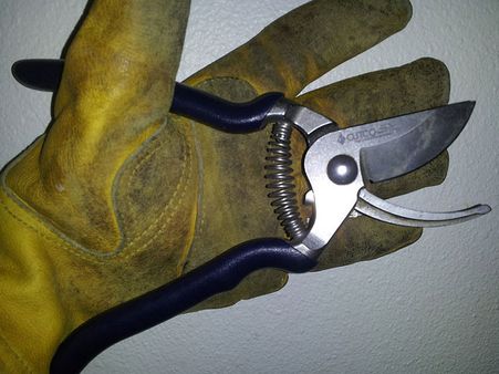 Scissors/Pruners