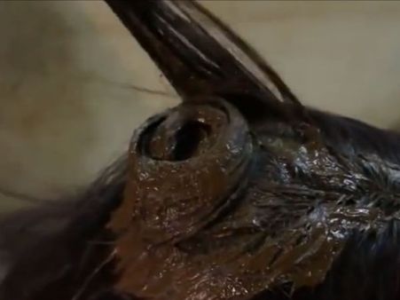 Start from the sides