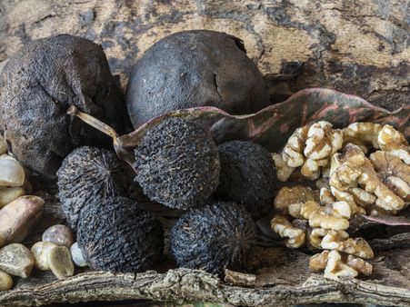 Black Walnut Black Walnut