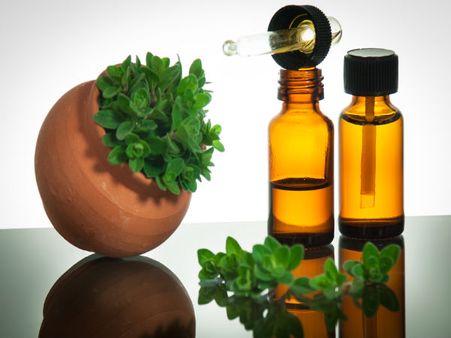 Oregano Oil: