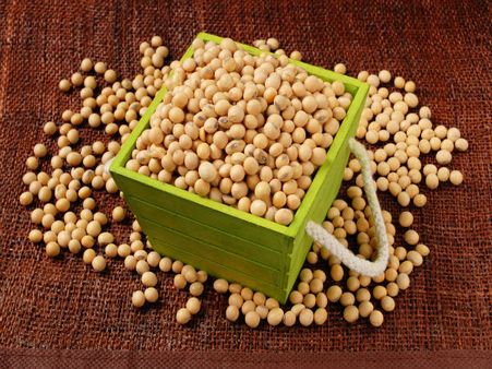 Soy Beans