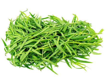 Tarragon