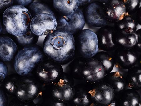 Bilberry And Blackcurrant