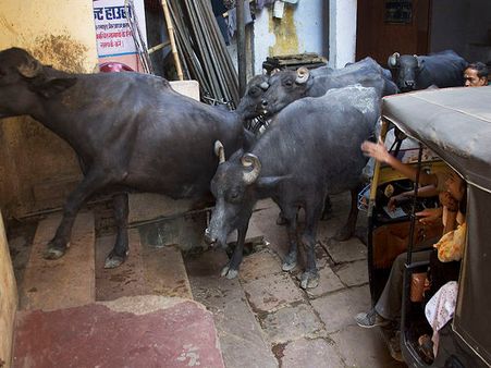 The Holy Traffic Jams