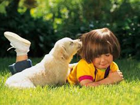 Boosts The Immune System