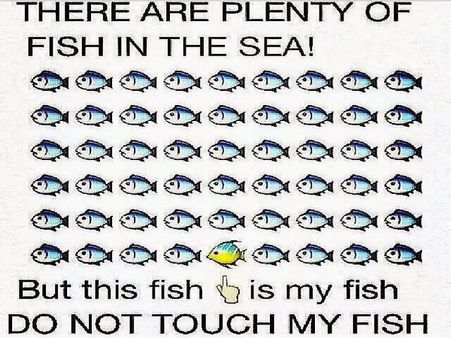 “Plenty Of Fish In The Sea”