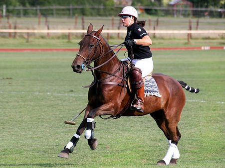World’s Oldest Polo Club