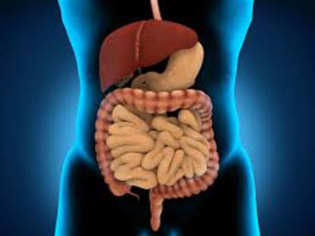 Increases Good Bacteria