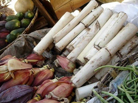 Recipe For Plantain Stem Juice Recipe For Plantain Stem Juice