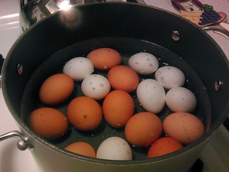 Boil It Perfectly Boil It Perfectly