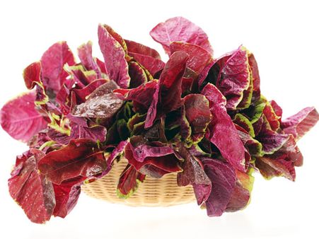 Amaranth Leaves Amaranth Leaves