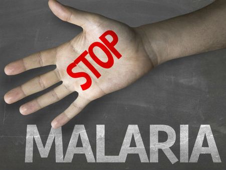 Prevents Malaria