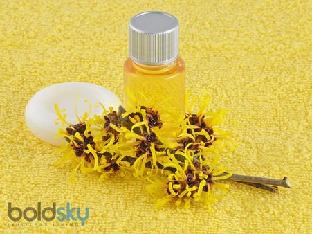 10. Witch Hazel Oil