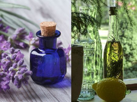 Olive Oil Moisturiser Olive Oil Moisturiser