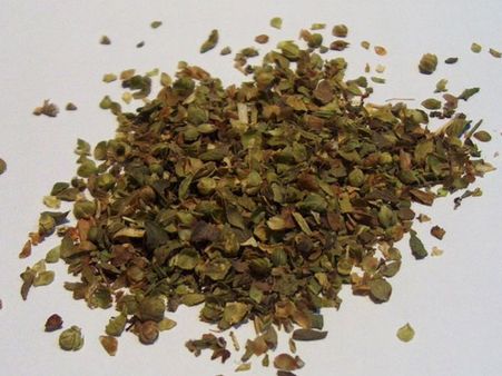 Oregano Oregano